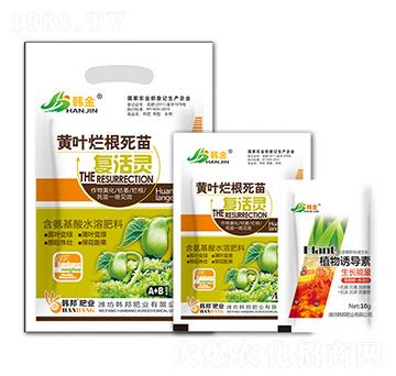 �S�~���������(f��)���`-�n