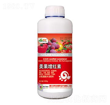 �������t��-�n��-�n��