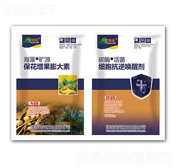 �������������-��(x��)����