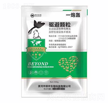 �(q��)���w��-һ���Z-���r(n��ng)����