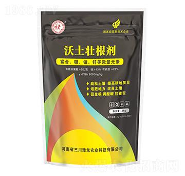 �����Ѹ���-����ԥ��