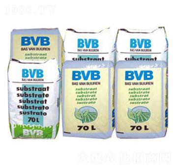 ���N���û��|(zh��)-BVB-�������r(n��ng)�Q(m��o)