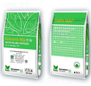 ʩ�Z��3̖12-5-40+Mg+Te-�������Q(m��o)