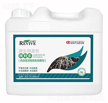 ΢�������-������-��