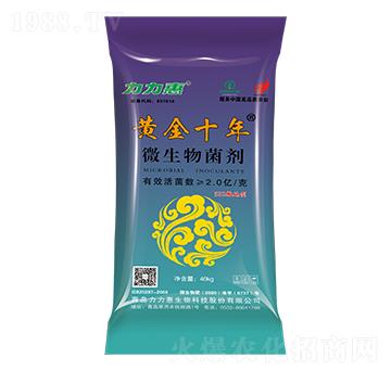 552��ʩ��΢�������-�S��ʮ��-����������