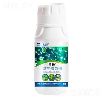 ����΢�������-�֠���(y��u)