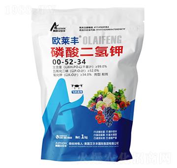 �������⛣�����-�W�R�S-��¶�����S