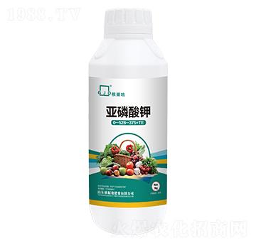 �������-����(j��)�طʘI(y��)