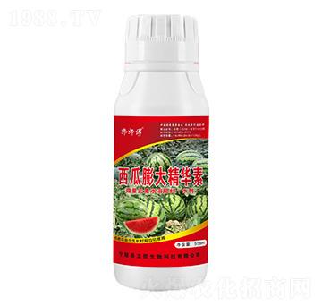 ��������A��-������-��������