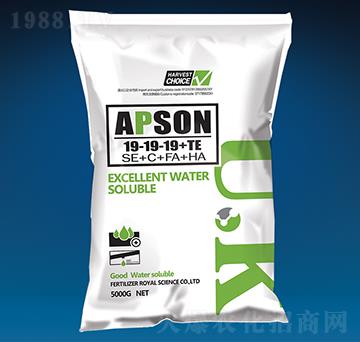 �������19-19-19+TE-������