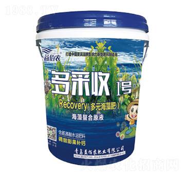 ��Ԫ�����-�����I̖