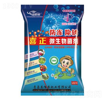 ΢�������-�������P-