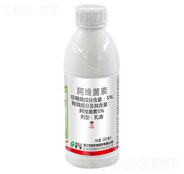 5%���S����-���U-����