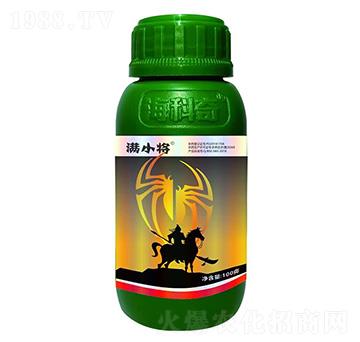 20%������-�MС��-������