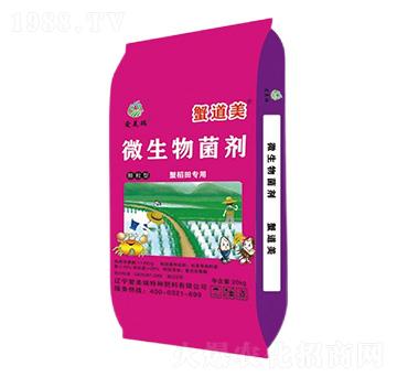 з���(zhu��n)��΢�������-з����-��(��i)����