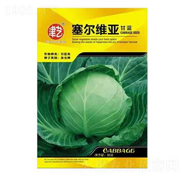 ���{(l��n)�N��-ِ���S��-���S�r(n��ng)�I(y��)