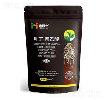 �Ŷ���������-�̴Tʿ-