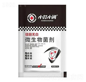 ΢�������-����o��-