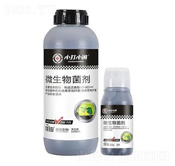 ΢�������-С��С�[-