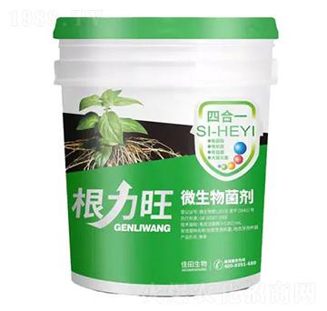 ΢�������-������-�^