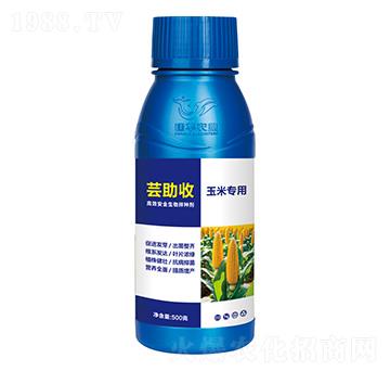 ���׌��ø�Ч�����N��-�|����-���A�r�I(y��)