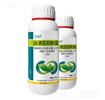 0.01%24-���|̦�؃�(n��i)��-���A��