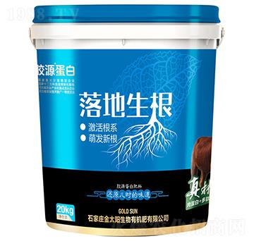 �zԴ���׷���-�������-��̫�(y��ng)