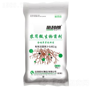 �װ�΢�������5�|-ʩ