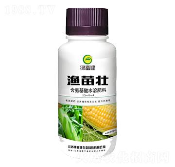 �O���-�G����