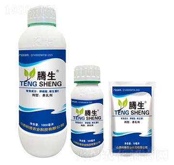 ����֬���S����E-�v��-�õ���