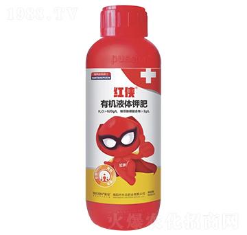 �t�b-����������-����