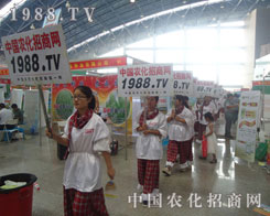 �Є�(d��ng)����1988.TV�F(tu��n)�(du��)�M��]����Ҋ��ɫ