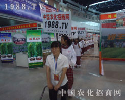 �r(n��ng)�����̾W(w��ng)�F(tu��n)꠲����L(f��ng)�����ú�ˮԏ��ഺ��ɫ��