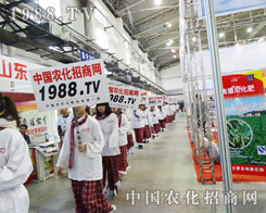 �H���w��2013�L���r(n��ng)�Y���[���ϵ�������