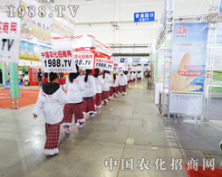 2013�|����ʡ���Ͻ������ϡ�С��ꖡ�