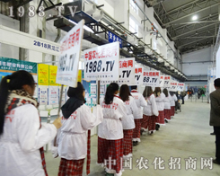 2013���ַ��ϕ������r(n��ng)���W(w��ng)�����