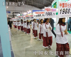 չ�����ʲ��࣬���c(di��n)��(y��ng)�Ӳ�Ͼ