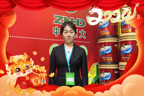 �����r���ףȫ���Ľ��N��2024��ؔԴ�V�M�������d����