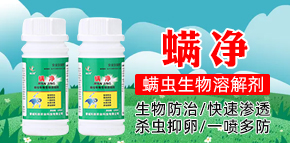 ɽ�|�ĳǿƄ�(chu��ng)�r�I(y��)�Ƽ����޹�˾