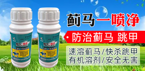 ɽ�|�ĳǿƄ�(chu��ng)�r�I(y��)�Ƽ����޹�˾