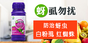 ɽ�|���r����Ƽ����޹�˾